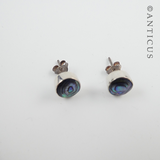 Small Silver and Paua Shell Stud Earrings.