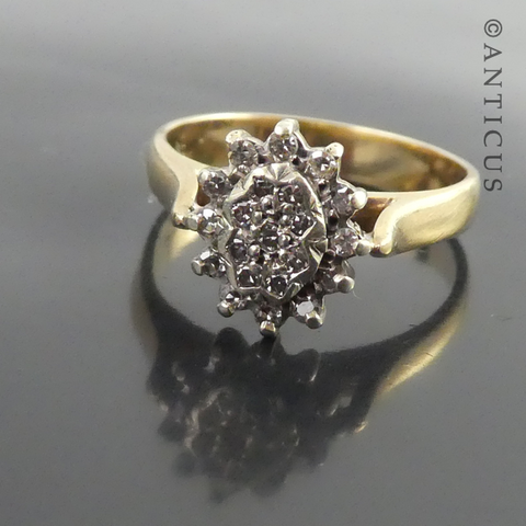 Pretty Gold and Diamond Cluster Ring.