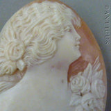 Unset Carved Shell Cameo of Edwardian Style Woman.