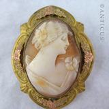 Genuine Shell Cameo in Gilded Mount.