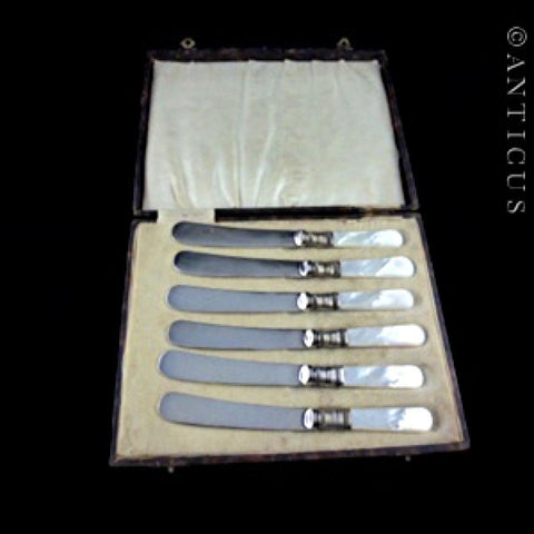 Cased Set of Mother of Pearl Handles Pâté Spreaders.