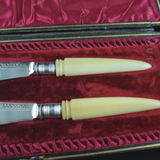 Antique Victorian Cased Pair of Butter Knives.