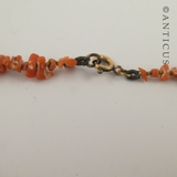 Antique Coral Twig Necklace.