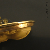 19th Century Lava Cameo Brooch, Gold Frame.