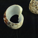 Pair of Cowrie Shell Napkin Rings, Carved Flower.