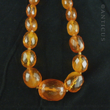 Long Strand of Faceted Baltic Amber Beads.