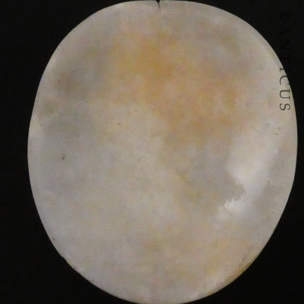 Unset Genuine Cameo, Victorian Woman.