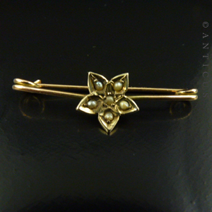 Tiny Victorian Collar or Child's Brooch.