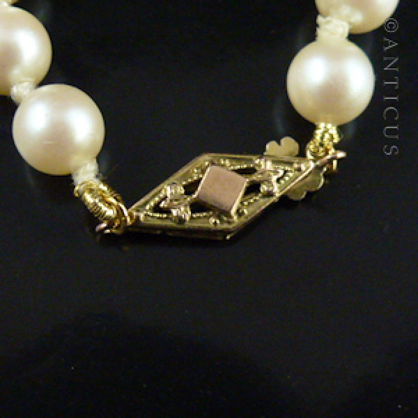 Faux Pearl Necklace, Gold Clasp.