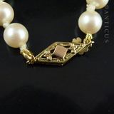 Faux Pearl Necklace, Gold Clasp.