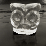 Glass Owl Paperweight