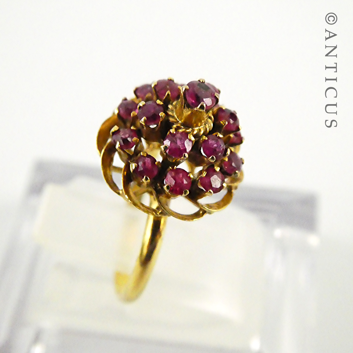 Ruby and Gold Princess Ring.